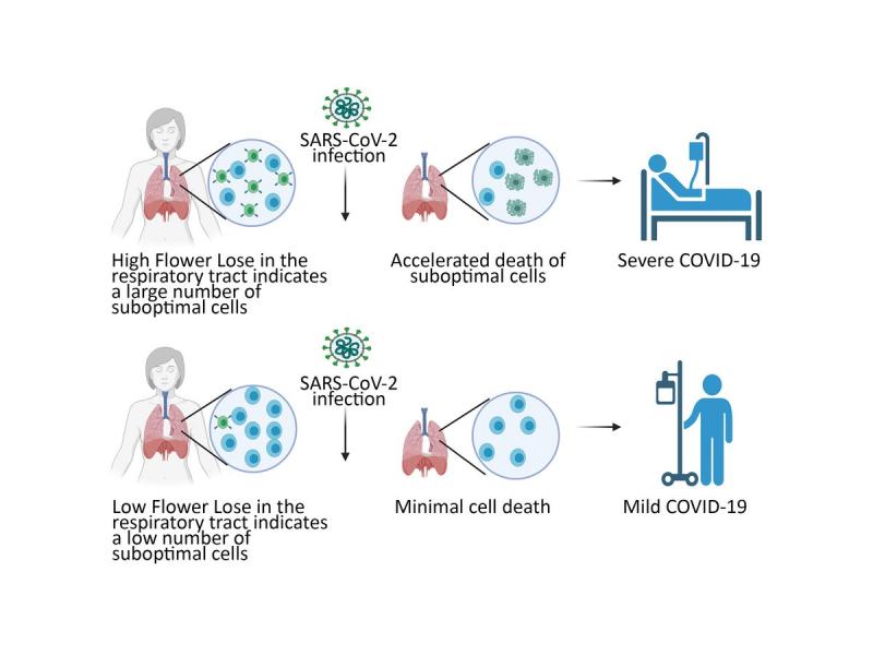 Essas descobertas são importantes porque podem ajudar a identificar indivíduos com maior risco de apresentar sintomas graves e orientar os profissionais de saúde a fornecer cuidados e tratamentos adequados. Ao realizar exames de sangue simples e analisar esses biomarcadores, os médicos poderão prever quais pacientes têm maior probabilidade de desenvolver complicações e tomar medidas proativas para reduzir os riscos.