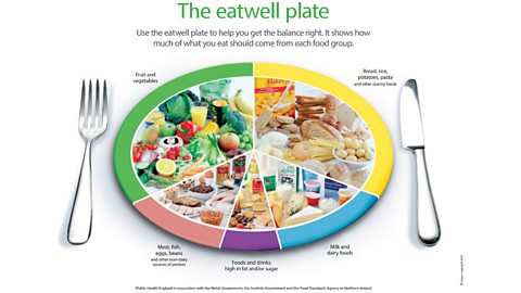 Os 5 principais grupos de alimentos para perda de peso: recomendação de um nutricionista