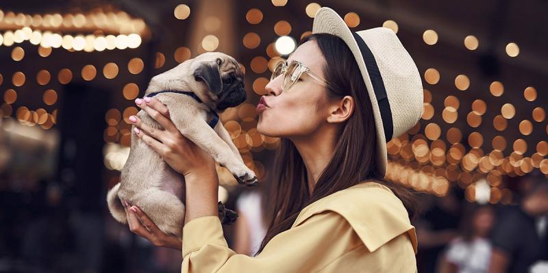 E se a pessoa for contra animais de estimação em geral?