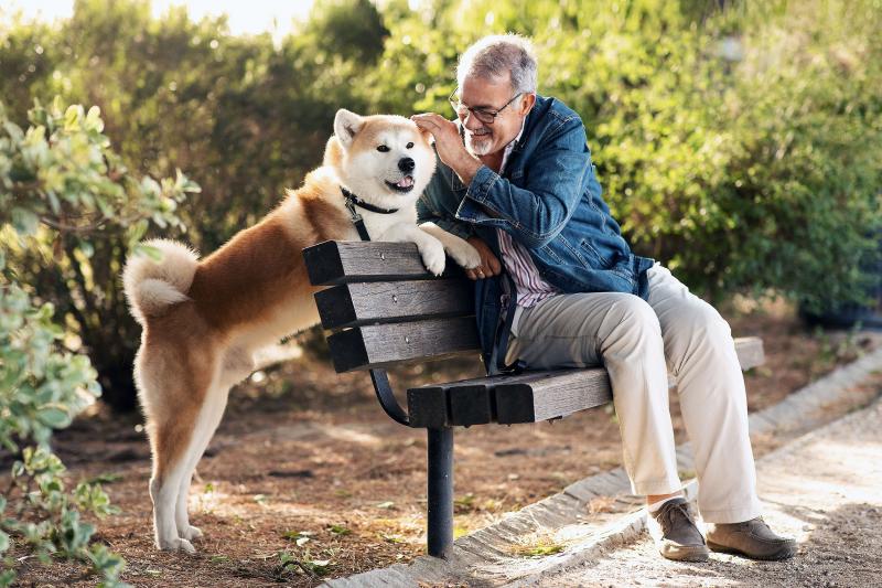 Os resultados do estudo foram surpreendentes. Os idosos que tinham um animal de estimação apresentaram um declínio de memória significativamente mais lento do que aqueles que não tinham um animal de estimação. Essa descoberta se manteve mesmo após o controle de outros fatores, como idade, escolaridade e saúde geral.