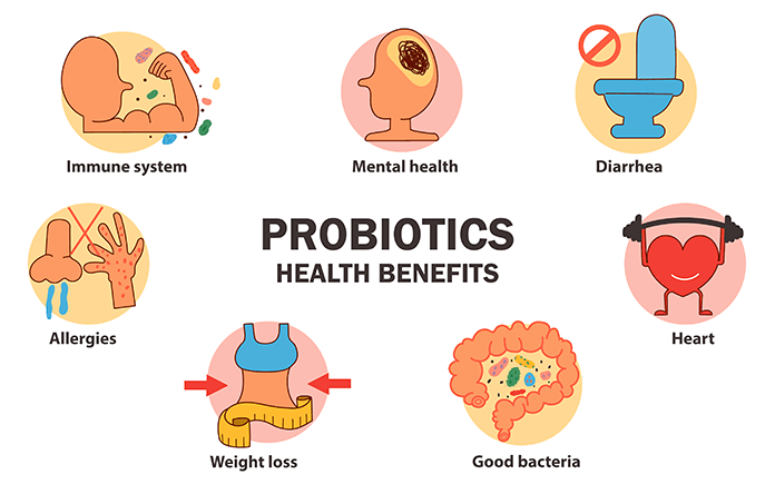 Fato nº 2. Os probióticos ajudam as vitaminas e os minerais a serem absorvidos.