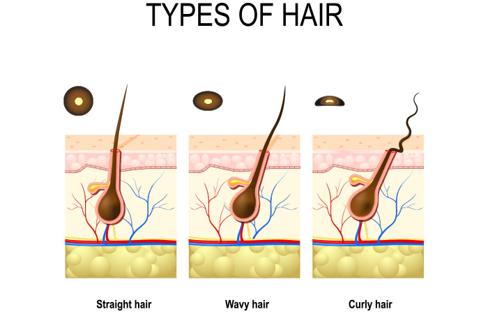 Seu cabelo é liso e elegante ou tem cachos deliciosos que saltam a cada passo? Talvez você tenha mechas onduladas que ficam em algum ponto intermediário. Determinar o seu tipo de cabelo é a primeira etapa para criar uma rotina personalizada de cuidados com os cabelos que deixará suas mechas com a melhor aparência possível. 