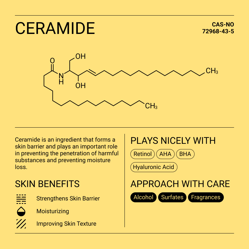 Quem precisa de cosméticos com ceramidas