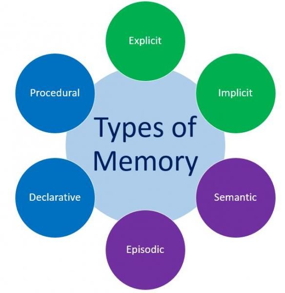 types-of-memory-8772624-1279977