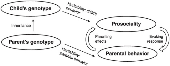 3 diferenças entre o amor paterno e materno que é importante conhecer (resposta do psicofisiologista)