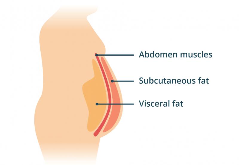 3. Preste atenção aos meios que não permitem que a gordura se acumule no corpo, além de promover sua decomposição