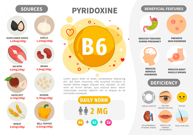 Características da vitamina B6