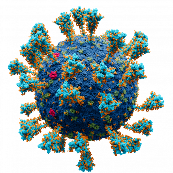 coronavirus-_sars-cov-2-5924249